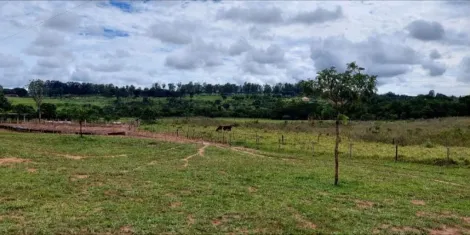 imagem 4 - Para Venda No Bairro Tocantins imagem 4 - Para Venda No Bairro Tocantins