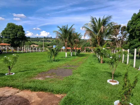 imagem 3 - chácara para venda no Morada Nova imagem 3 - chácara para venda no Morada Nova