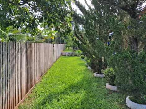 imagem 5 - chácara para venda no Morada Nova imagem 5 - chácara para venda no Morada Nova