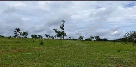 imagem 2 - Sítio Para Venda no Sentido Prata imagem 2 - Sítio Para Venda no Sentido Prata