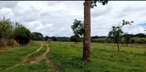 imagem 3 - Sítio Para Venda no Sentido Prata imagem 3 - Sítio Para Venda no Sentido Prata