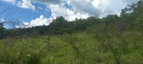 imagem 1 - Área para venda na Represa de Miranda imagem 1 - Área para venda na Represa de Miranda
