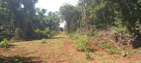 imagem 3 - Área para venda na Represa de Miranda imagem 3 - Área para venda na Represa de Miranda