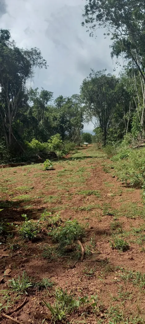imagem 4 - Área para venda na Represa de Miranda imagem 4 - Área para venda na Represa de Miranda