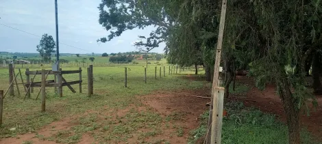 imagem 2 - Sitio Para Venda No Município Uberlândia imagem 2 - Sitio Para Venda No Município Uberlândia