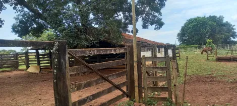 imagem 3 - Sitio Para Venda No Município Uberlândia imagem 3 - Sitio Para Venda No Município Uberlândia