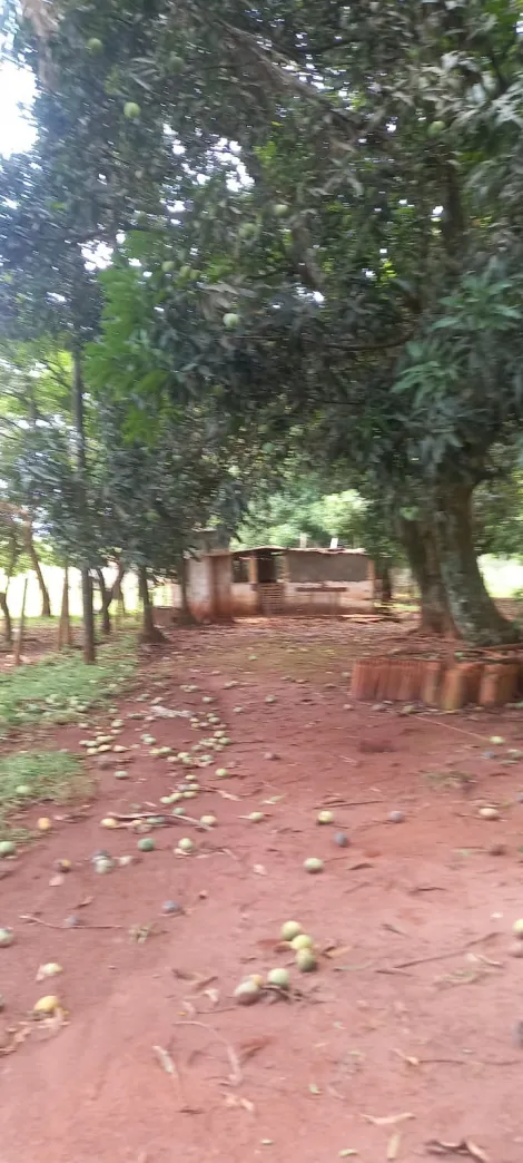imagem 4 - Sitio Para Venda No Município Uberlândia imagem 4 - Sitio Para Venda No Município Uberlândia