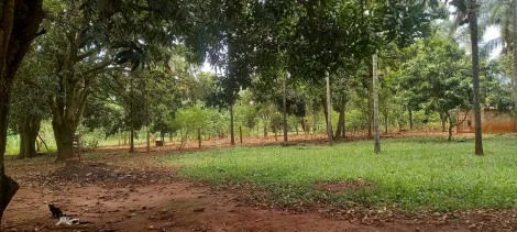 imagem 5 - Sitio Para Venda No Município Uberlândia imagem 5 - Sitio Para Venda No Município Uberlândia