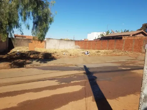 imagem 1 - Terrenos Para Venda No Bairro São Jorge imagem 1 - Terrenos Para Venda No Bairro São Jorge