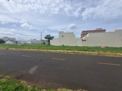 imagem 5 - Terreno - Área imagem 5 - Terreno - Área