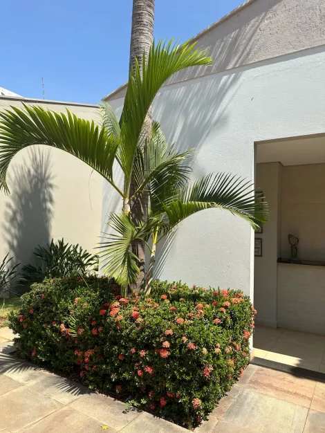 imagem 1 - Casa Para Venda No Bairro Vigilato Pereira imagem 1 - Casa Para Venda No Bairro Vigilato Pereira