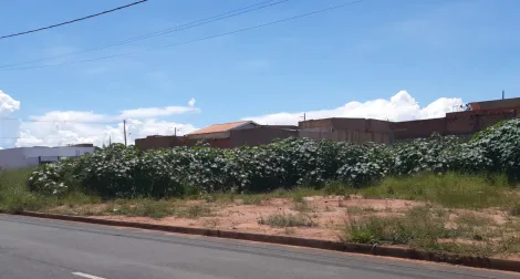 imagem 1 - Terreno - Padrão imagem 1 - Terreno - Padrão