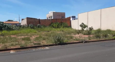 imagem 4 - Terreno - Padrão imagem 4 - Terreno - Padrão