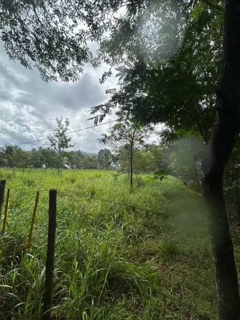 imagem 2 - Casa - Chácara imagem 2 - Casa - Chácara