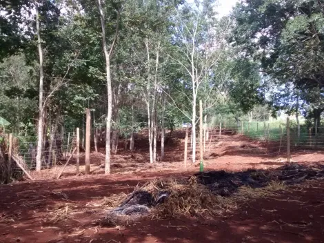 imagem 5 - Casa - Chácara imagem 5 - Casa - Chácara