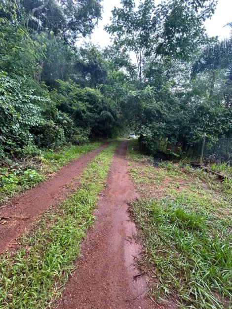 imagem 3 - Casa - Chácara imagem 3 - Casa - Chácara