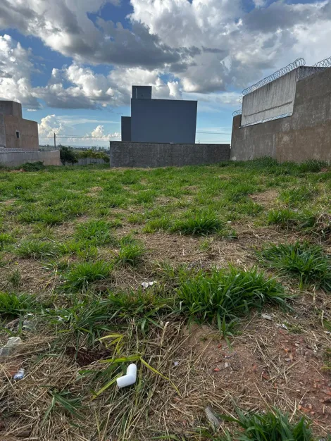 imagem 2 - Terreno - Padrão imagem 2 - Terreno - Padrão