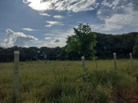 imagem 3 - Chácara Para Venda Nas Chácaras Bonanza  Em Uberlândia imagem 3 - Chácara Para Venda Nas Chácaras Bonanza  Em Uberlândia