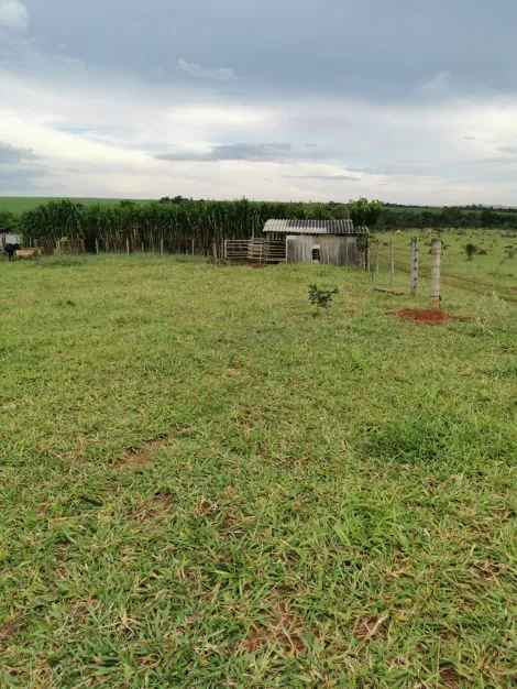 imagem 3 - chácara Para Venda No Bairro Chácaras Eldorado imagem 3 - chácara Para Venda No Bairro Chácaras Eldorado