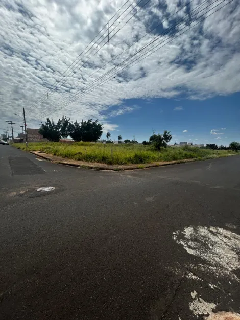 imagem 3 - Terrenos Para Venda No Bairro Shopping Park Em Uberlândia imagem 3 - Terrenos Para Venda No Bairro Shopping Park Em Uberlândia