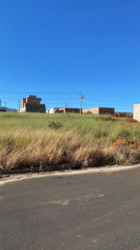 imagem 1 - Terreno Para Venda No Bairro Aclimação imagem 1 - Terreno Para Venda No Bairro Aclimação