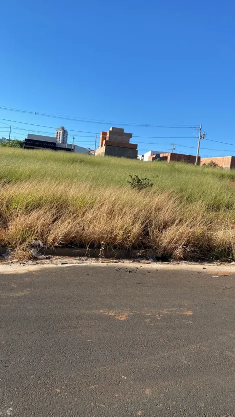 imagem 2 - Terreno Para Venda No Bairro Aclimação imagem 2 - Terreno Para Venda No Bairro Aclimação