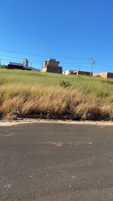 imagem 3 - Terreno Para Venda No Bairro Aclimação imagem 3 - Terreno Para Venda No Bairro Aclimação