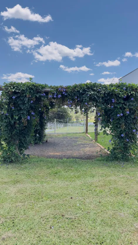 imagem 2 - Rural - Chácara imagem 2 - Rural - Chácara