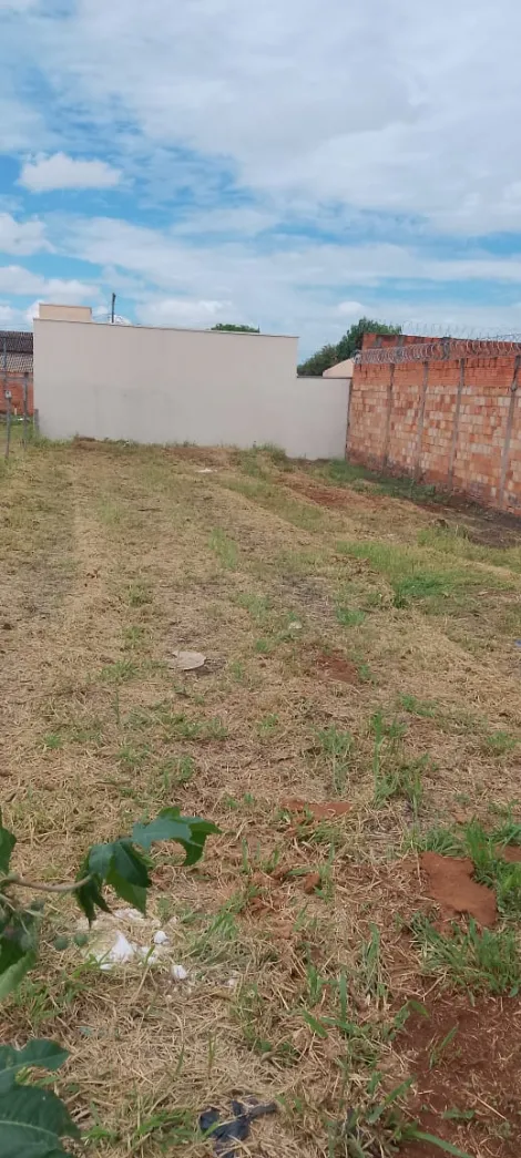 imagem 1 - Terreno Para Venda No Bairro Shopping Park imagem 1 - Terreno Para Venda No Bairro Shopping Park