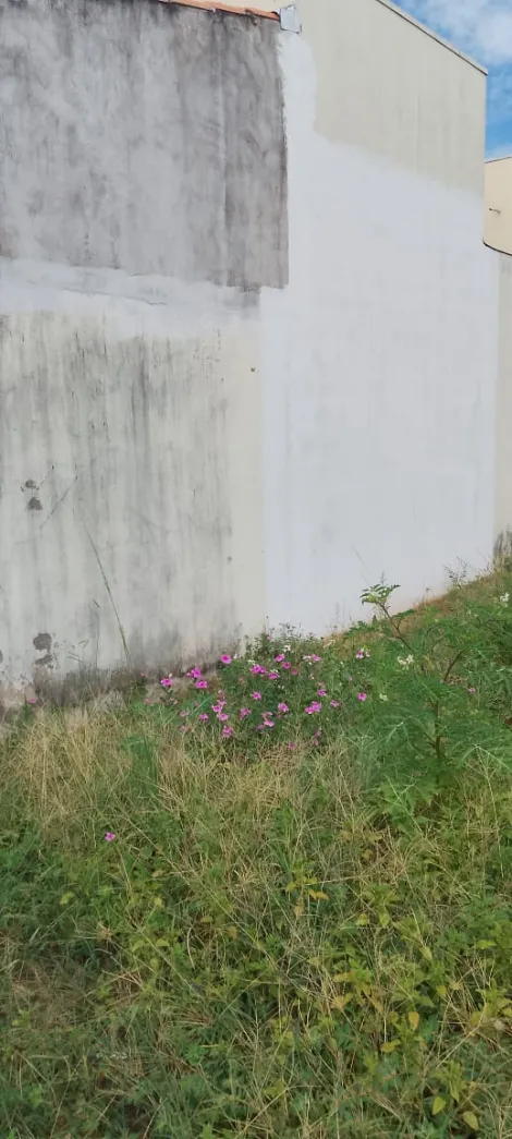 imagem 3 - Terreno Para Venda No Bairro Shopping Park imagem 3 - Terreno Para Venda No Bairro Shopping Park