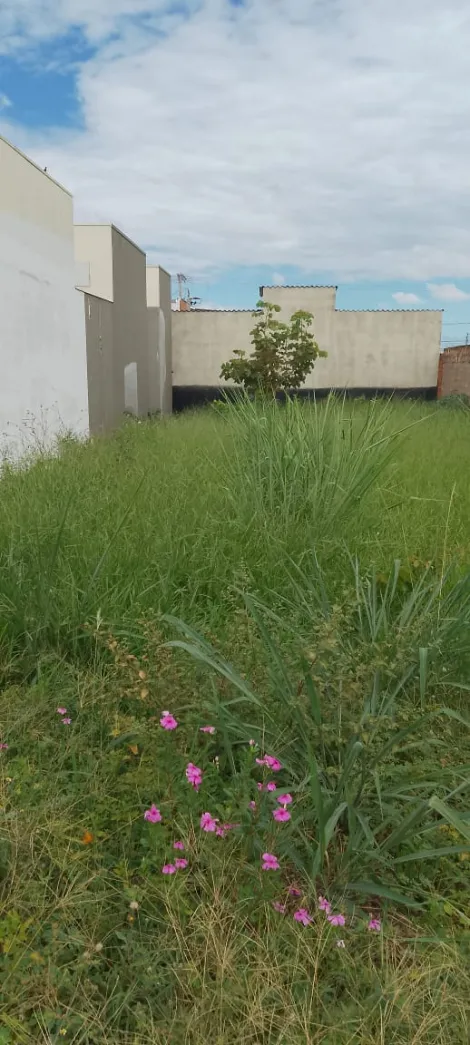 imagem 1 - Terreno Para Venda No Bairro Shopping Park imagem 1 - Terreno Para Venda No Bairro Shopping Park