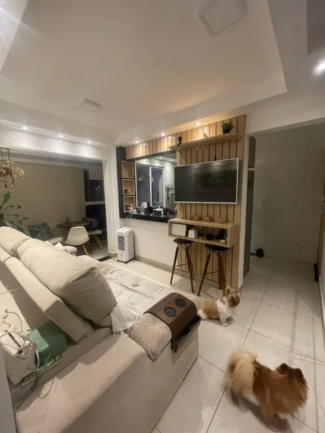 imagem 3 - Apartamento Para Venda No Bairro Aclimação imagem 3 - Apartamento Para Venda No Bairro Aclimação