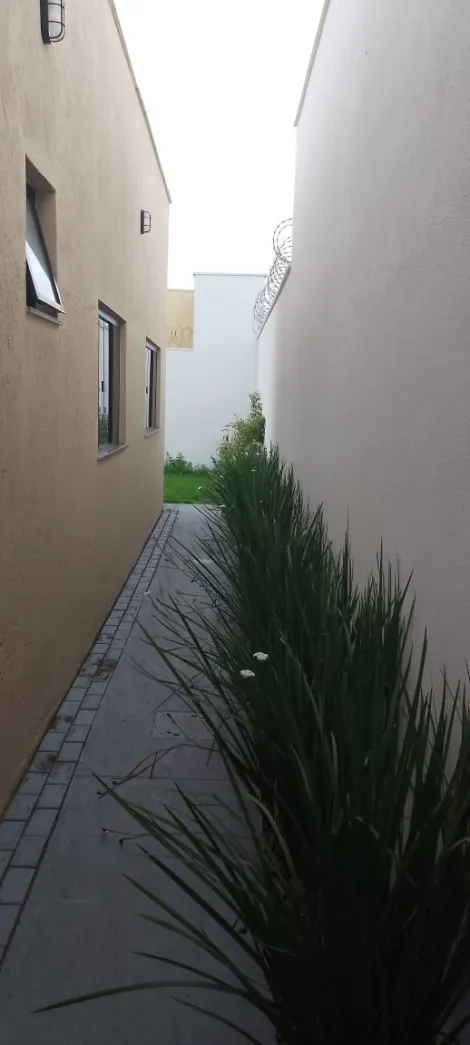 imagem 5 - Casa Para Venda No Bairro Ipanema imagem 5 - Casa Para Venda No Bairro Ipanema