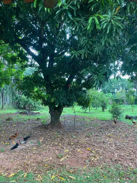 imagem 3 - Rural - Chácara em condomínio imagem 3 - Rural - Chácara em condomínio