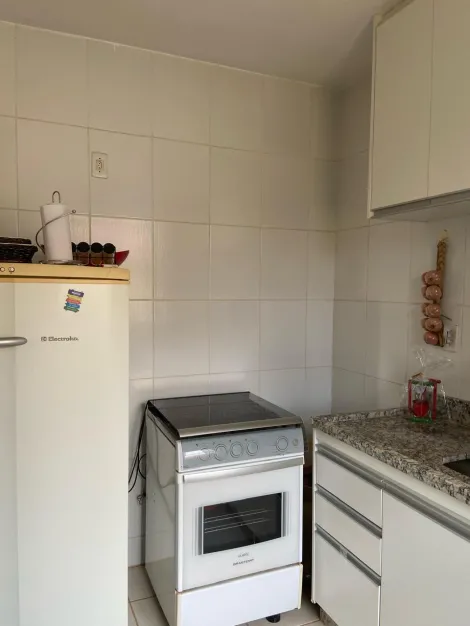 imagem 5 - Apartamento Para Venda No Bairro Jaraguá imagem 5 - Apartamento Para Venda No Bairro Jaraguá