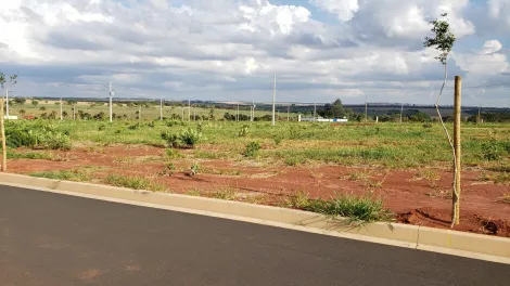 imagem 1 - Terrenos Para Venda No Bairro Jardim Sul imagem 1 - Terrenos Para Venda No Bairro Jardim Sul