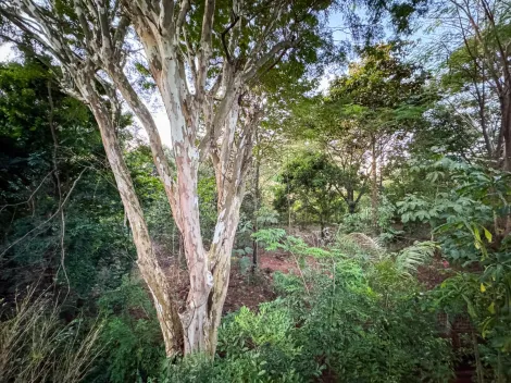 imagem 5 - Casa Em condomínio Morada do Sol Para Venda imagem 5 - Casa Em condomínio Morada do Sol Para Venda