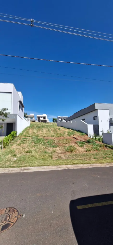imagem 1 - Terreno Para Venda No Bairro Granja Marileusa imagem 1 - Terreno Para Venda No Bairro Granja Marileusa