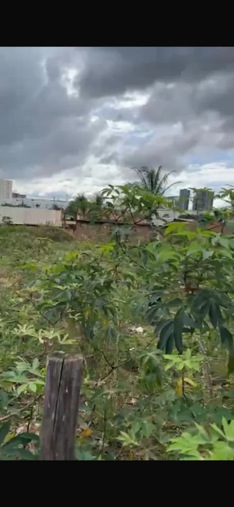 imagem 1 - Terreno - Padrão imagem 1 - Terreno - Padrão