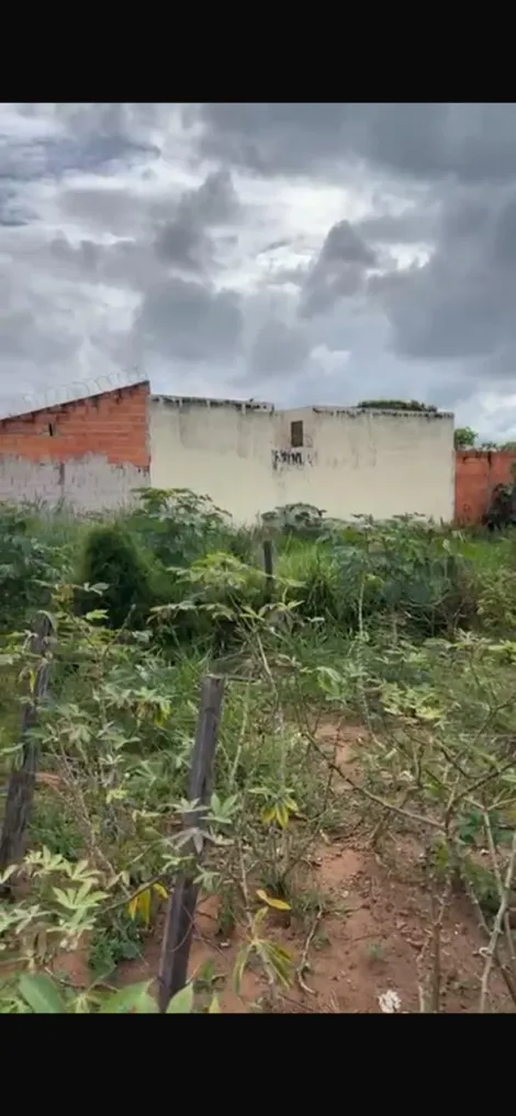 imagem 2 - Terreno - Padrão imagem 2 - Terreno - Padrão