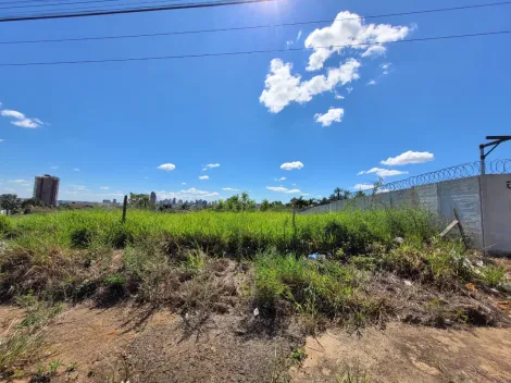 imagem 3 - Terreno Para Venda No Bairro Altamira imagem 3 - Terreno Para Venda No Bairro Altamira