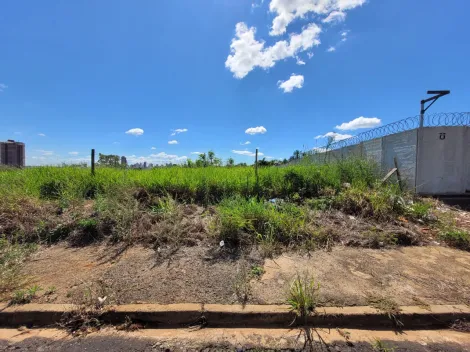 imagem 4 - Terreno Para Venda No Bairro Altamira imagem 4 - Terreno Para Venda No Bairro Altamira