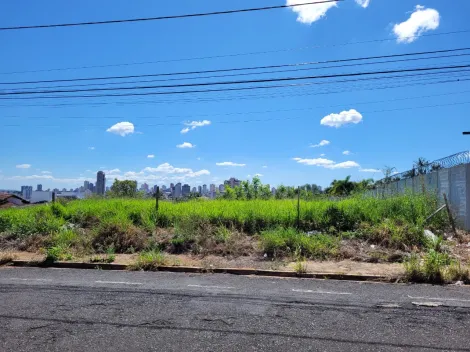 imagem 1 - Terreno Para Venda No Bairro Altamira imagem 1 - Terreno Para Venda No Bairro Altamira
