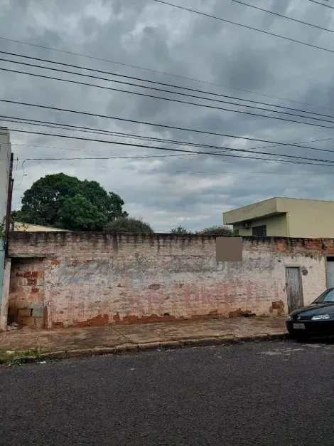 imagem 2 - Casa Para Venda No Bairro Martins imagem 2 - Casa Para Venda No Bairro Martins