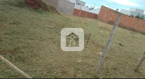 imagem 3 - Terreno Para Venda No Bairro Laranjeiras imagem 3 - Terreno Para Venda No Bairro Laranjeiras