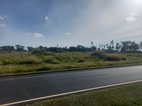 Uberlandia Morumbi Rural Venda R$26.000.000,00  Area do terreno 495000.00m2 