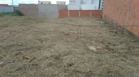 imagem 2 - Terreno Para Venda No Bairro Laranjeiras imagem 2 - Terreno Para Venda No Bairro Laranjeiras