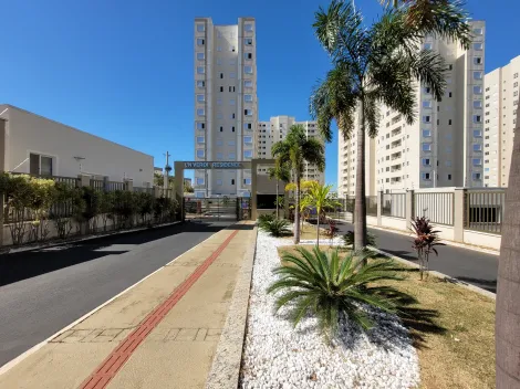 imagem 1 - Apartamento para locação no bairro Jardim Sul imagem 1 - Apartamento para locação no bairro Jardim Sul