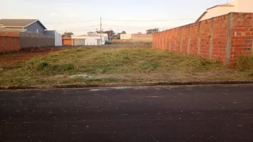 imagem 1 - TERRENO A VENDA MURADO LATERAL BAIRRO JARDIM BOTANICO imagem 1 - TERRENO A VENDA MURADO LATERAL BAIRRO JARDIM BOTANICO