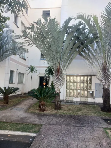 imagem 1 - Apartamento Para Venda No Bairro Jardim Holanda imagem 1 - Apartamento Para Venda No Bairro Jardim Holanda